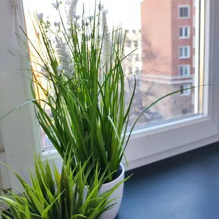 Design In Center Апартаменты